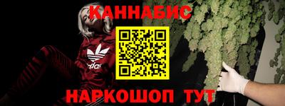 шишки Гатчина