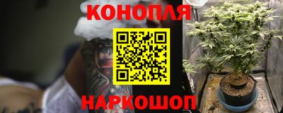 шишки Гатчина
