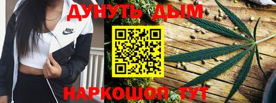 шишки Гатчина